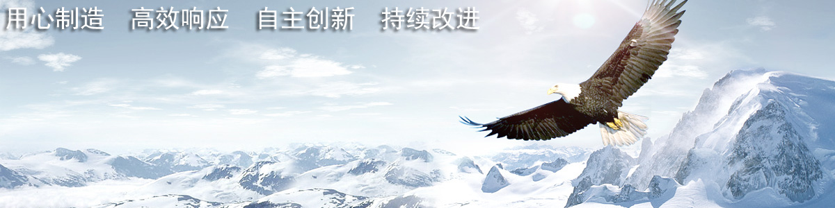 关于我们质量方针.jpg